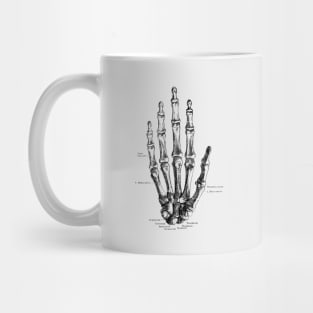 Hand Skeletal Diagram - Vintage Anatomy Poster Mug